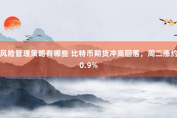 风险管理策略有哪些 比特币期货冲高回落，周二涨约0.9%