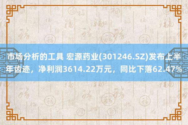 市场分析的工具 宏源药业(301246.SZ)发布上半年齿迹，净利润3614.22万元，同比下落62.47%