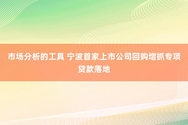 市场分析的工具 宁波首家上市公司回购增抓专项贷款落地