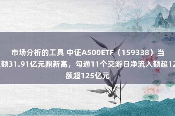 市场分析的工具 中证A500ETF（159338）当天成交额31.91亿元鼎新高，勾通11个交游日净流入额超125亿元