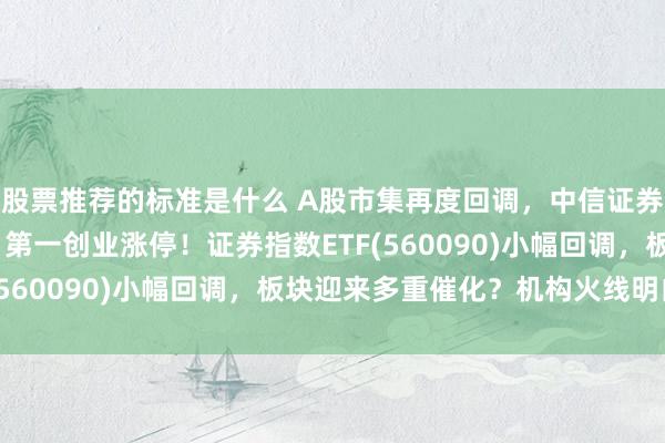 股票推荐的标准是什么 A股市集再度回调，中信证券Q3净利润大增22%，第一创业涨停！证券指数ETF(560090)小幅回调，板块迎来多重催化？机构火线明白！