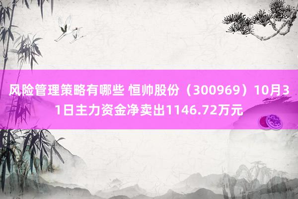 风险管理策略有哪些 恒帅股份（300969）10月31日主力资金净卖出1146.72万元