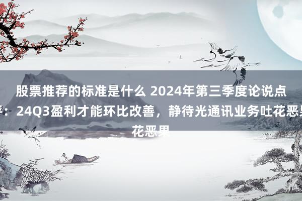 股票推荐的标准是什么 2024年第三季度论说点评：24Q3盈利才能环比改善，静待光通讯业务吐花恶果