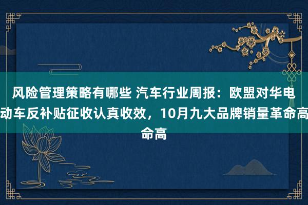 风险管理策略有哪些 汽车行业周报：欧盟对华电动车反补贴征收认真收效，10月九大品牌销量革命高