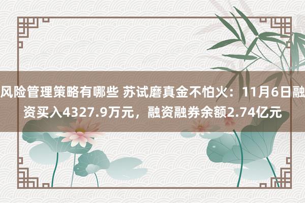 风险管理策略有哪些 苏试磨真金不怕火：11月6日融资买入4327.9万元，融资融券余额2.74亿元