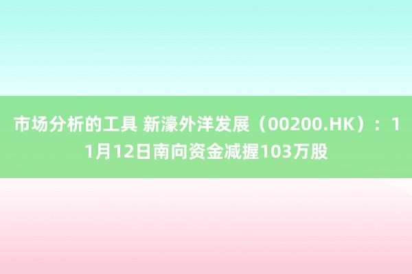 市场分析的工具 新濠外洋发展（00200.HK）：11月12日南向资金减握103万股