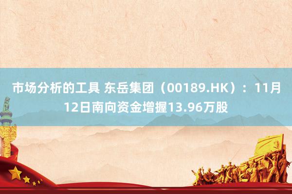 市场分析的工具 东岳集团（00189.HK）：11月12日南向资金增握13.96万股