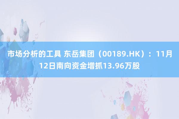 市场分析的工具 东岳集团（00189.HK）：11月12日南向资金增抓13.96万股