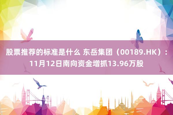 股票推荐的标准是什么 东岳集团（00189.HK）：11月12日南向资金增抓13.96万股