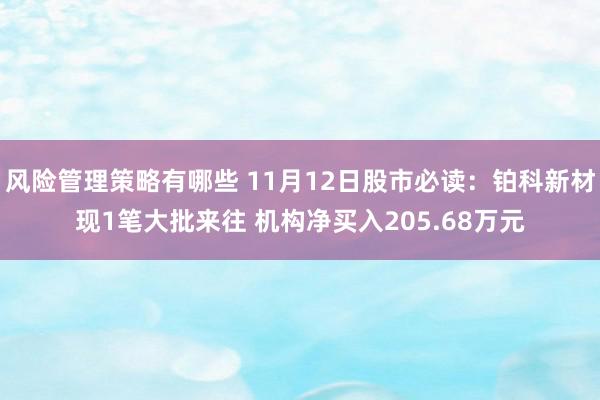 风险管理策略有哪些 11月12日股市必读：铂科新材现1笔大批来往 机构净买入205.68万元