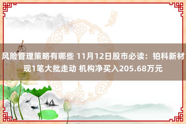 风险管理策略有哪些 11月12日股市必读：铂科新材现1笔大批走动 机构净买入205.68万元