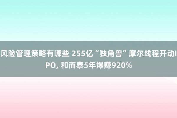 风险管理策略有哪些 255亿“独角兽”摩尔线程开动IPO, 和而泰5年爆赚920%