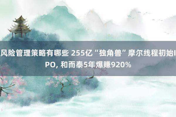 风险管理策略有哪些 255亿“独角兽”摩尔线程初始IPO, 和而泰5年爆赚920%