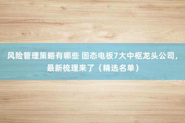 风险管理策略有哪些 固态电板7大中枢龙头公司，最新梳理来了（精选名单）