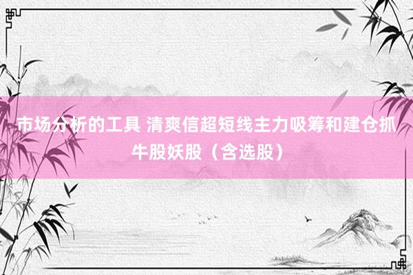 市场分析的工具 清爽信超短线主力吸筹和建仓抓牛股妖股（含选股）