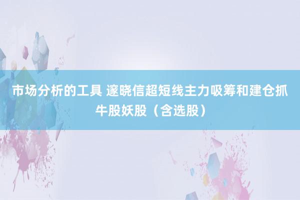 市场分析的工具 邃晓信超短线主力吸筹和建仓抓牛股妖股（含选股）