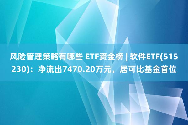 风险管理策略有哪些 ETF资金榜 | 软件ETF(515230)：净流出7470.20万元，居可比基金首位