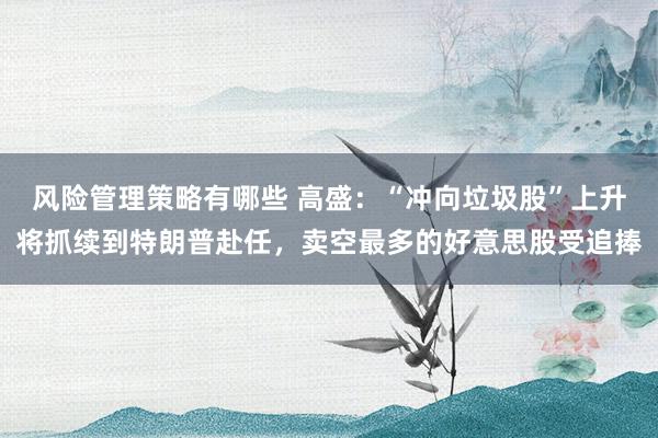 风险管理策略有哪些 高盛：“冲向垃圾股”上升将抓续到特朗普赴任，卖空最多的好意思股受追捧