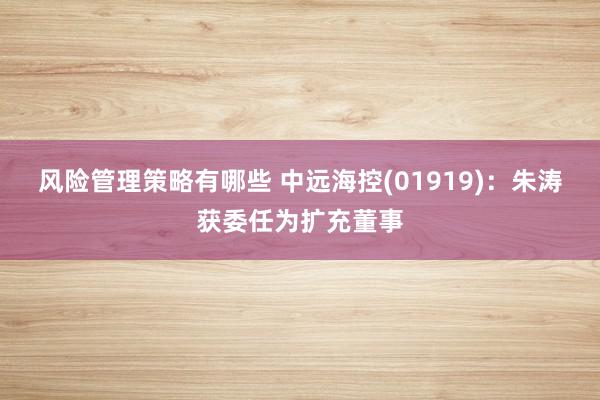 风险管理策略有哪些 中远海控(01919)：朱涛获委任为扩充董事