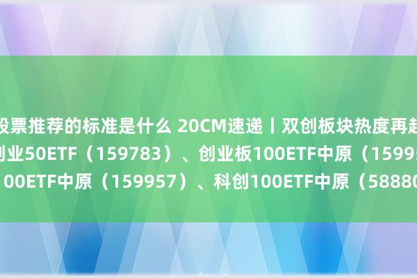 股票推荐的标准是什么 20CM速递丨双创板块热度再起，聚焦低费率科创创业50ETF（159783）、创业板100ETF中原（159957）、科创100ETF中原（588800）