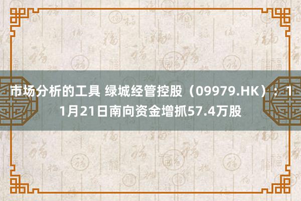 市场分析的工具 绿城经管控股（09979.HK）：11月21日南向资金增抓57.4万股