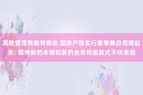 风险管理策略有哪些 国泰产险实行董事兼总司理赵承: 期待新的本领和新的业务和谐款式不休表现