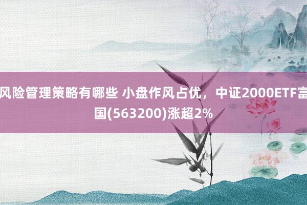 风险管理策略有哪些 小盘作风占优，中证2000ETF富国(563200)涨超2%