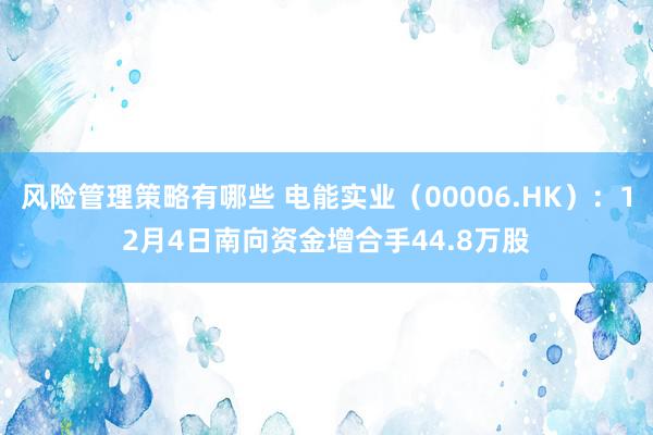 风险管理策略有哪些 电能实业（00006.HK）：12月4日南向资金增合手44.8万股