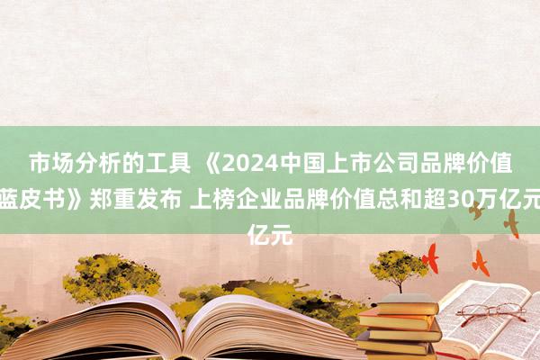 市场分析的工具 《2024中国上市公司品牌价值蓝皮书》郑重发布 上榜企业品牌价值总和超30万亿元