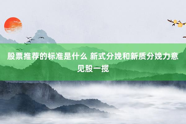 股票推荐的标准是什么 新式分娩和新质分娩力意见股一揽