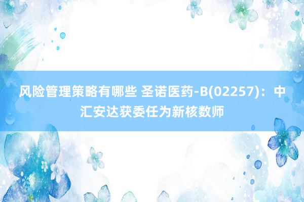 风险管理策略有哪些 圣诺医药-B(02257)：中汇安达获委任为新核数师