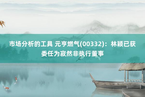 市场分析的工具 元亨燃气(00332)：林颖已获委任为寂然非执行董事