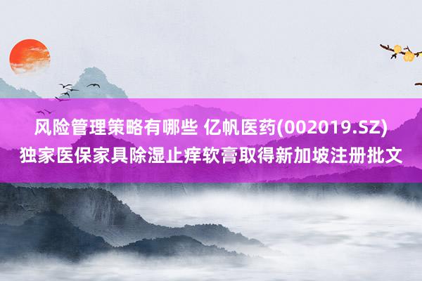 风险管理策略有哪些 亿帆医药(002019.SZ)独家医保家具除湿止痒软膏取得新加坡注册批文