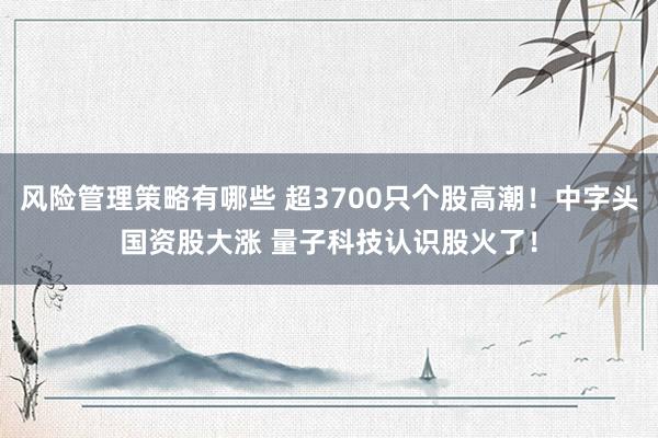 风险管理策略有哪些 超3700只个股高潮！中字头国资股大涨 量子科技认识股火了！