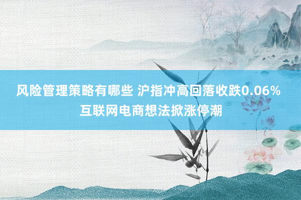 风险管理策略有哪些 沪指冲高回落收跌0.06% 互联网电商想法掀涨停潮