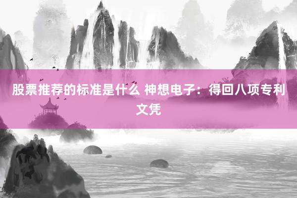 股票推荐的标准是什么 神想电子：得回八项专利文凭