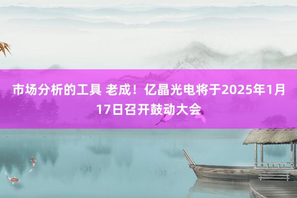 市场分析的工具 老成！亿晶光电将于2025年1月17日召开鼓动大会