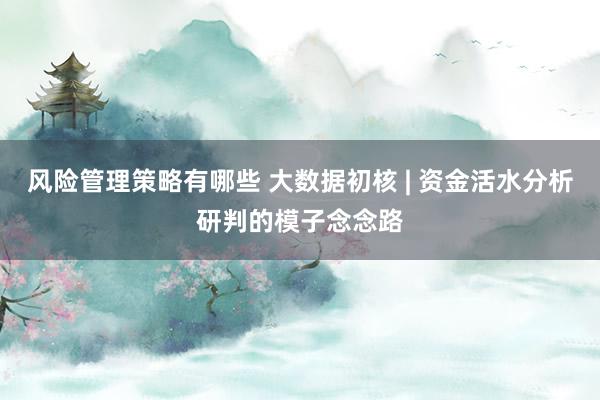 风险管理策略有哪些 大数据初核 | 资金活水分析研判的模子念念路