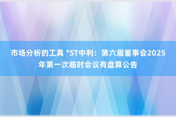 市场分析的工具 *ST中利：第六届董事会2025年第一次临时会议有盘算公告