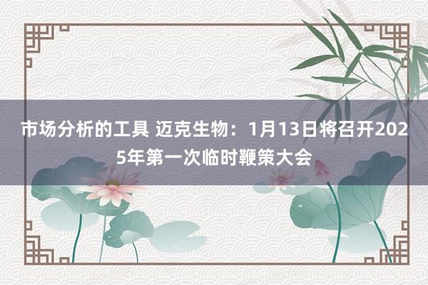 市场分析的工具 迈克生物：1月13日将召开2025年第一次临时鞭策大会