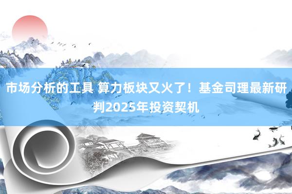 市场分析的工具 算力板块又火了！基金司理最新研判2025年投资契机