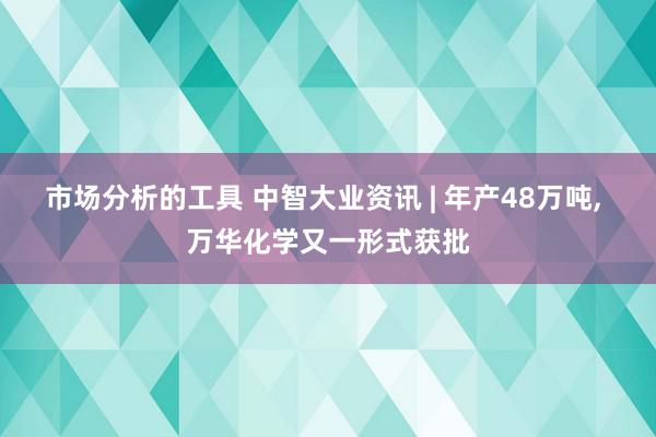 市场分析的工具 中智大业资讯 | 年产48万吨, 万华化学又一形式获批