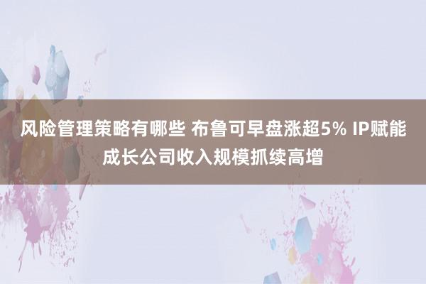 风险管理策略有哪些 布鲁可早盘涨超5% IP赋能成长公司收入规模抓续高增