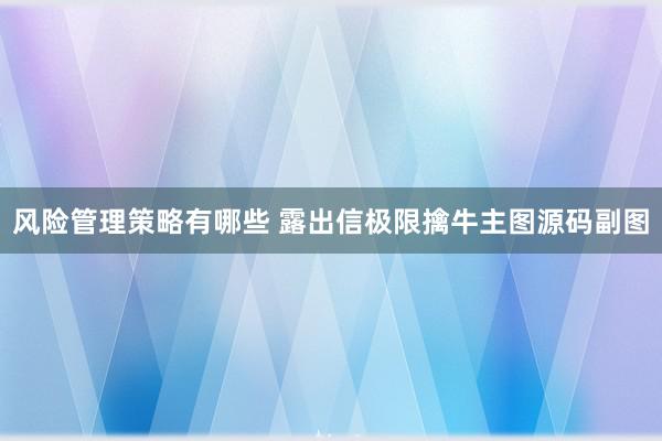 风险管理策略有哪些 露出信极限擒牛主图源码副图