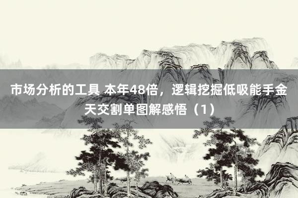 市场分析的工具 本年48倍，逻辑挖掘低吸能手金天交割单图解感悟（1）