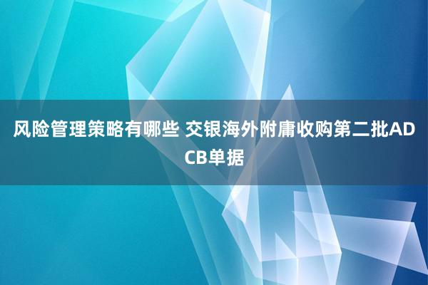 风险管理策略有哪些 交银海外附庸收购第二批ADCB单据