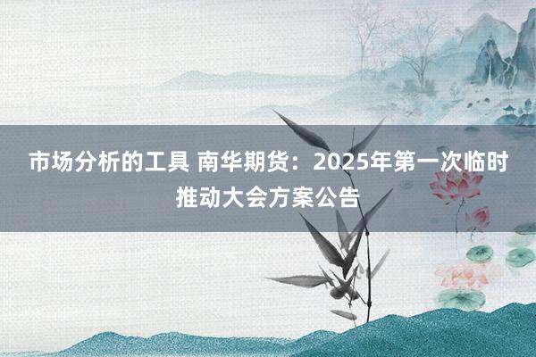 市场分析的工具 南华期货：2025年第一次临时推动大会方案公告