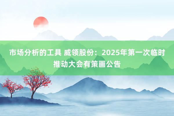 市场分析的工具 威领股份：2025年第一次临时推动大会有策画公告