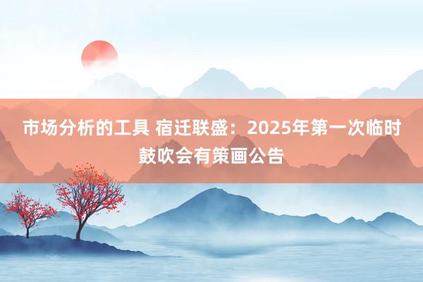 市场分析的工具 宿迁联盛：2025年第一次临时鼓吹会有策画公告