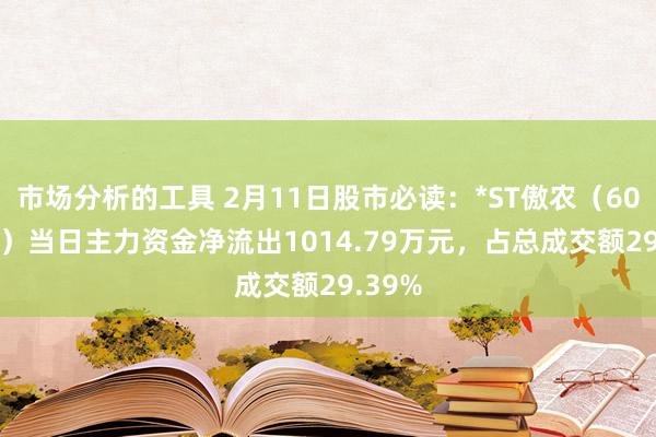 市场分析的工具 2月11日股市必读：*ST傲农（603363）当日主力资金净流出1014.79万元，占总成交额29.39%